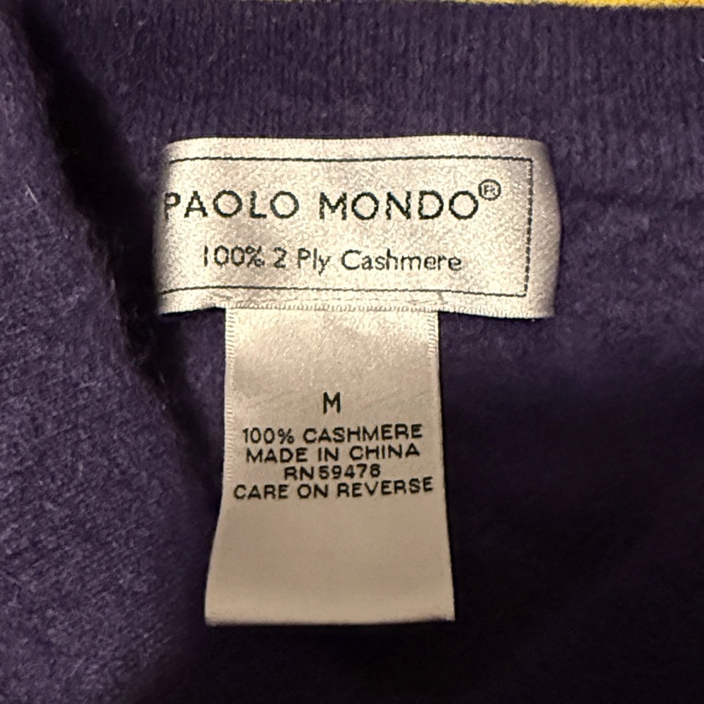 Paolo Mondo Purple V-Neck Men's Sweater